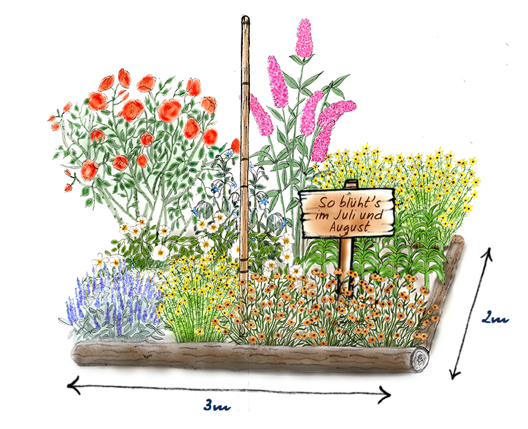 So blüht der Bauerngarten im Juli und August Bauerngarten im Juli und August