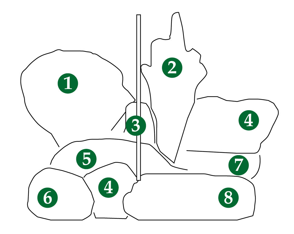 Bauerngarten – unser Pflanzplan