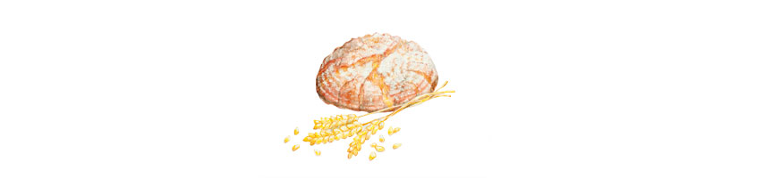 gruess gott landbrot 854x200 Brot und Weizen