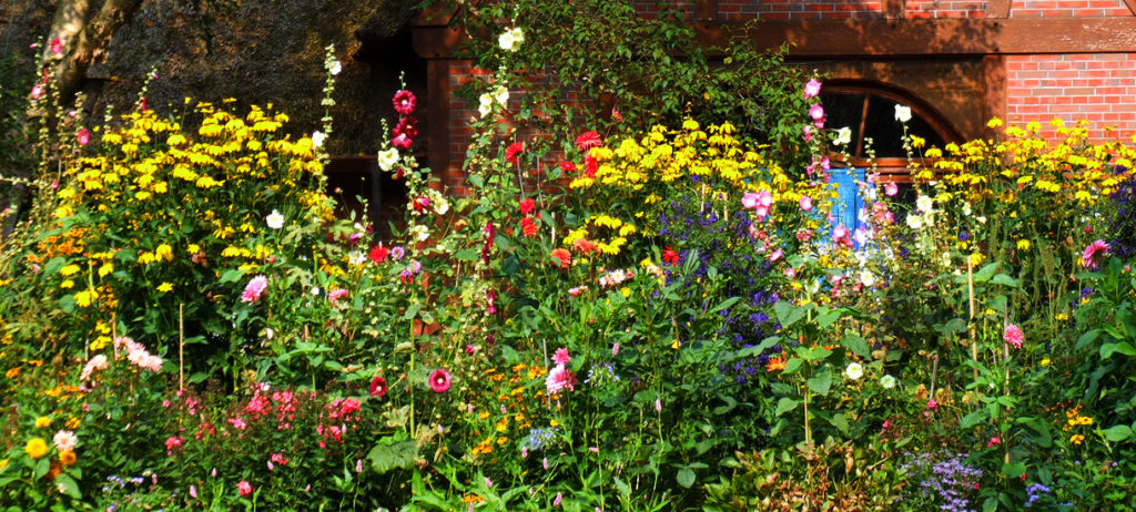 Bauerngarten Mein Paradies vor der Haustür ♥ Grüß Gott!