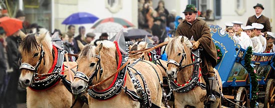 Pferdegespann zum Leonharditag