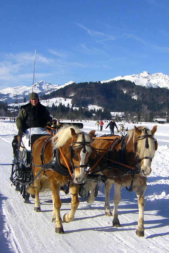 Eismeister Weißensee Kutsche