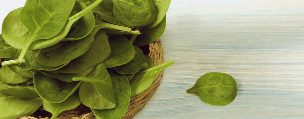 Spinat – Der saftig grüne Frühlingsbote. Unsere leckeren Spinat-Rezepte