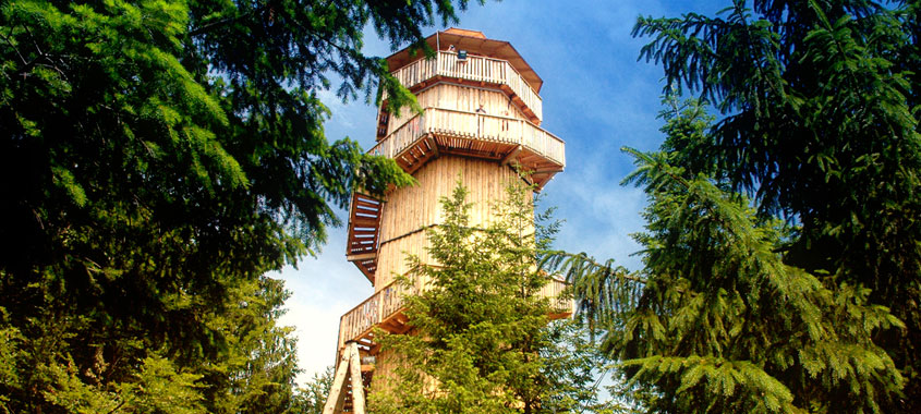 Ostereiersuche Baumkronenweg