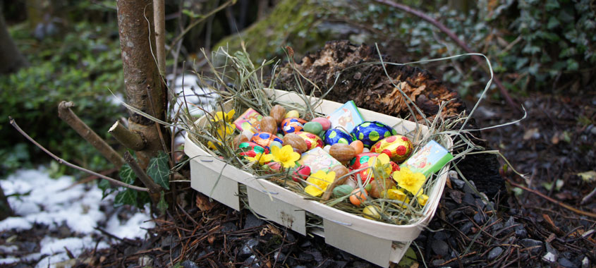 Ostereiersuche Natur- und Tierpark Goldau