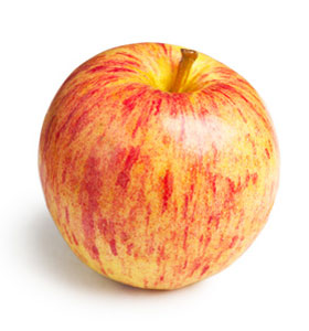 Apfelernte am Bodensee – Apfel der Sorte Gala