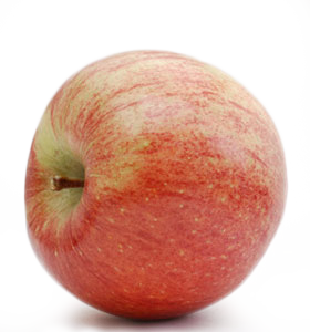 Apfelernte am Bodensee – Apfel der Sorte Kiku