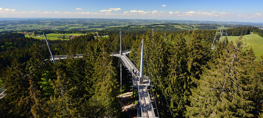 Baumwipfelpfad im Wald mit Ausblick auf das Allgäu