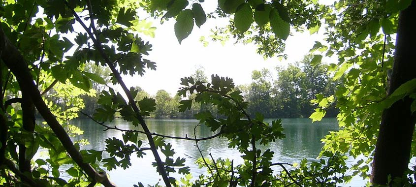 Blick auf den Langwieder See in München