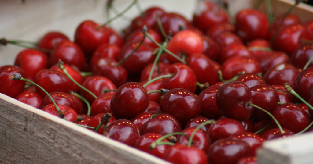 kirschen tipps ernten entsteinen verarbeiten kirschen in kiste 1200x630