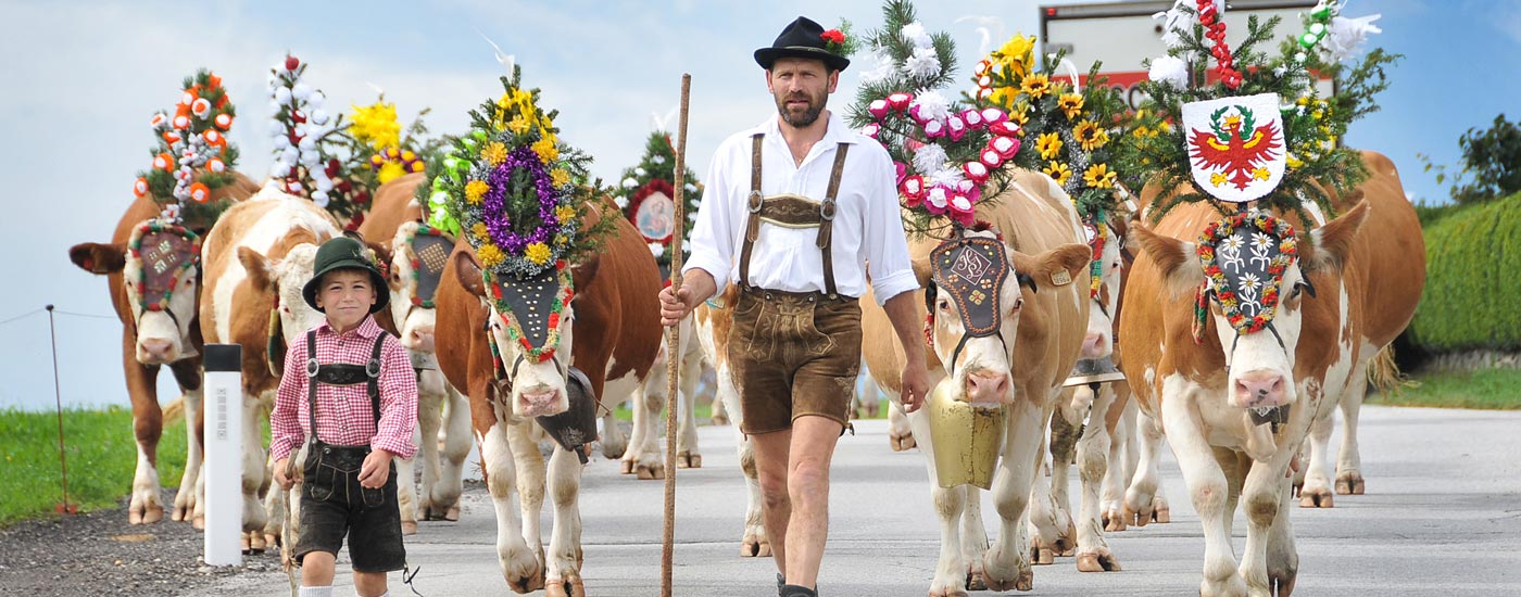 Almabtrieb im Alpbachtal - Geschmückte Kühe werden von einem Mann und einem Jungen in Tracht ins Tal gebracht